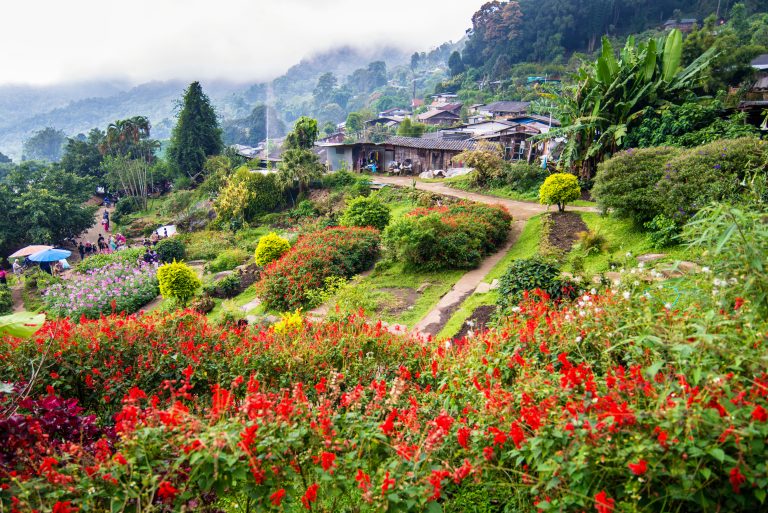 Hmong Doi Pui Village